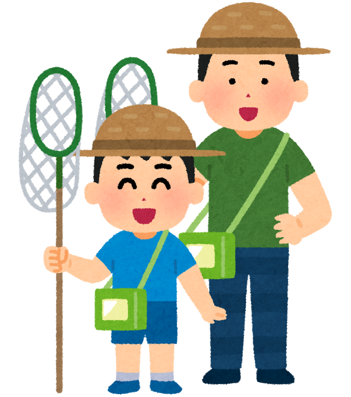 子供と一緒に昆虫採集を楽しく遊ぶために知っておきたい5つの心得 ほそめパパブログ